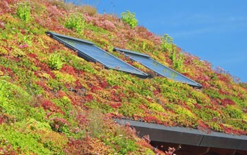 Old Micklefield living roof systems